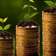 Compass South Gross Margin Management